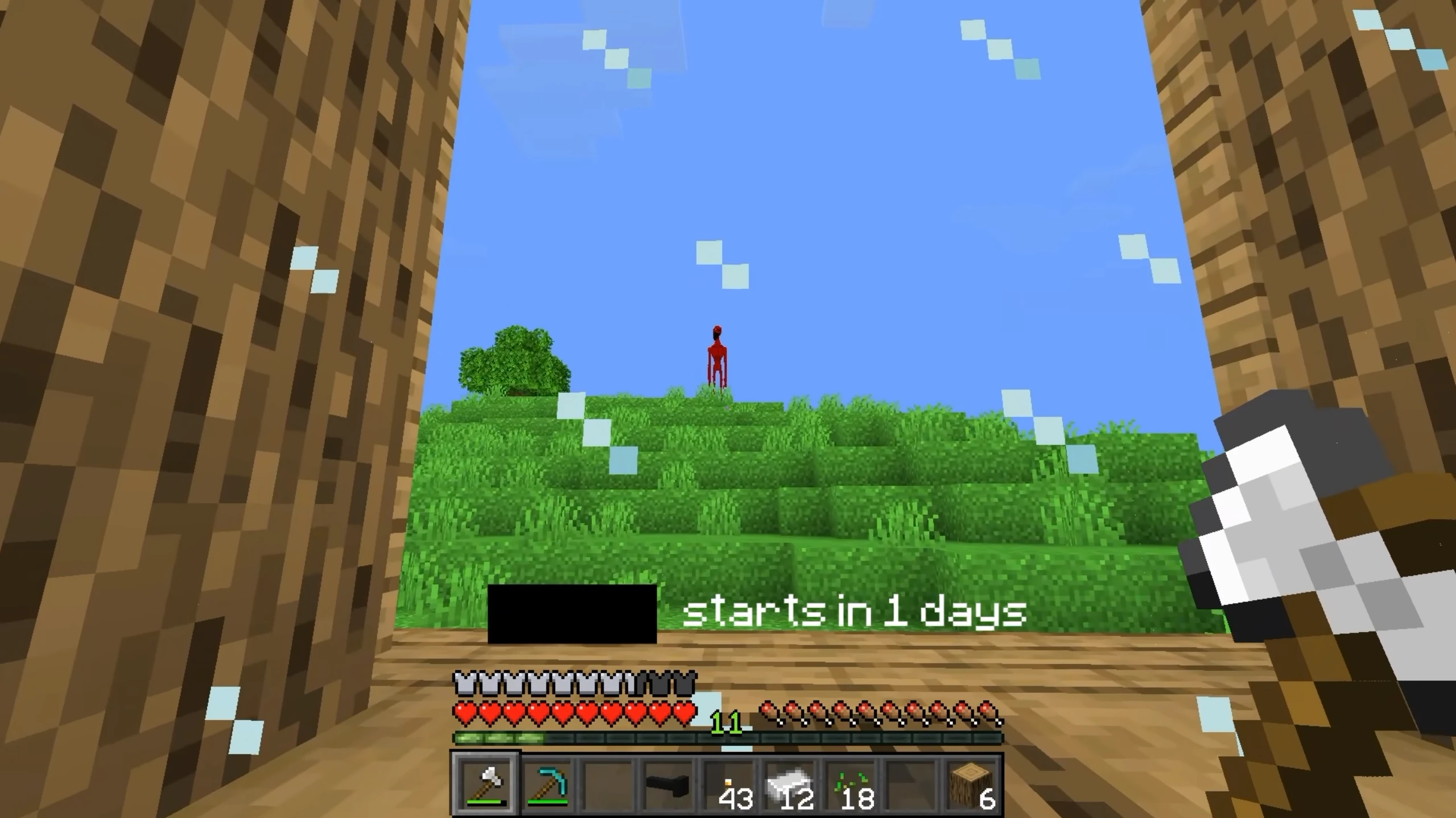 Creator looking at Twixxel through the window 