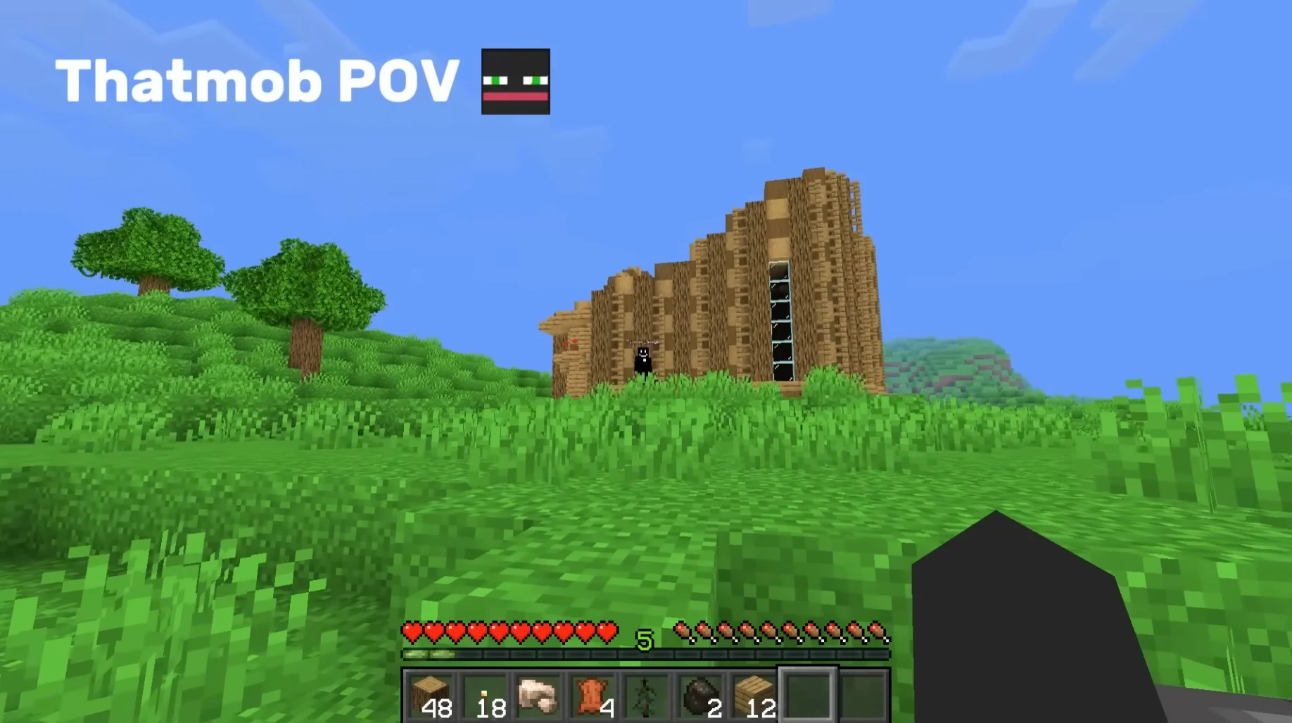 mob's POV watching 'Twixxel' build the house