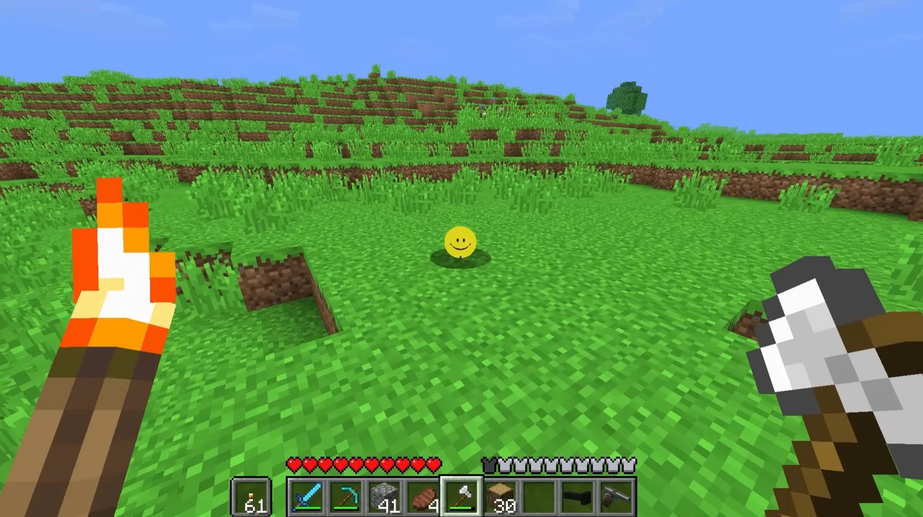 Verity gives Mob coordinates