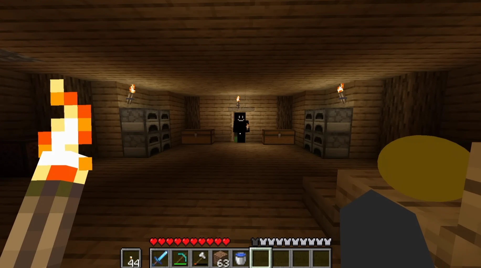 Twixxel enters the house